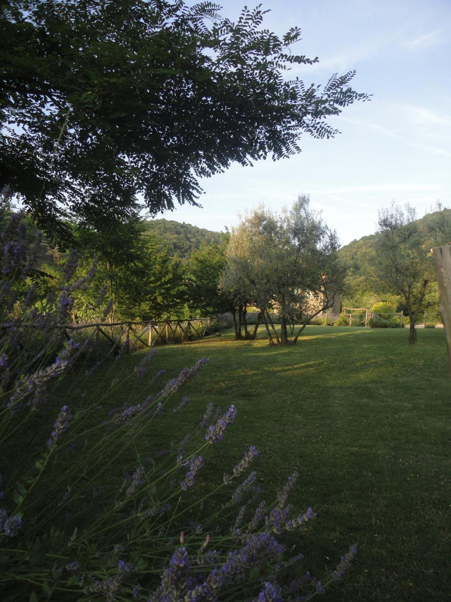 Villa Il Capriolo San Cerbone Exterior foto