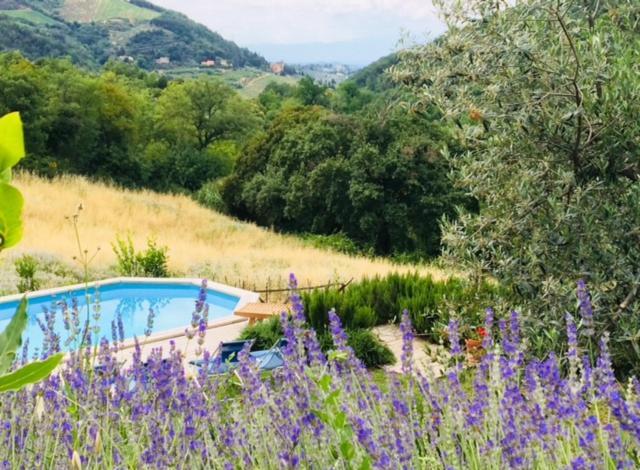 Villa Il Capriolo San Cerbone Exterior foto