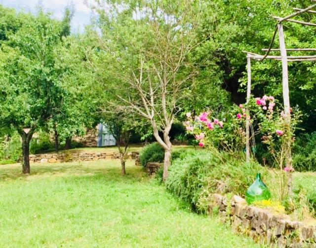 Villa Il Capriolo San Cerbone Exterior foto