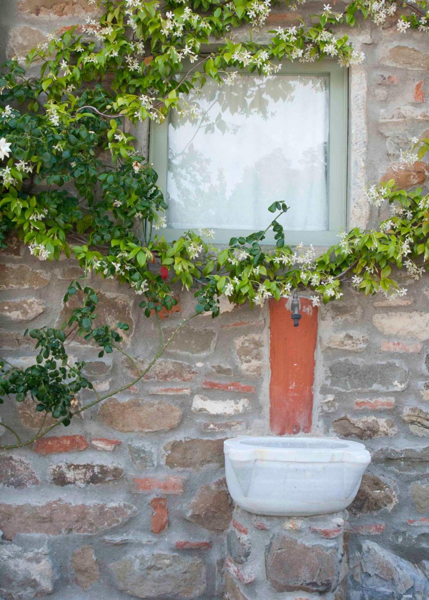Villa Il Capriolo San Cerbone Exterior foto