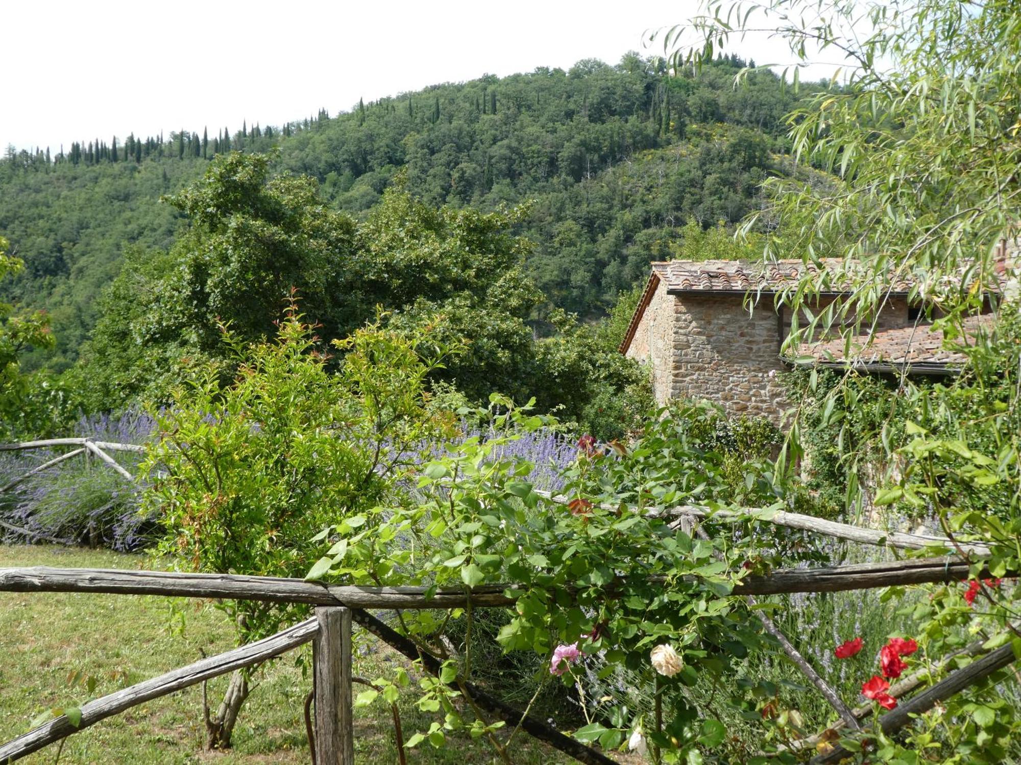 Villa Il Capriolo San Cerbone Exterior foto