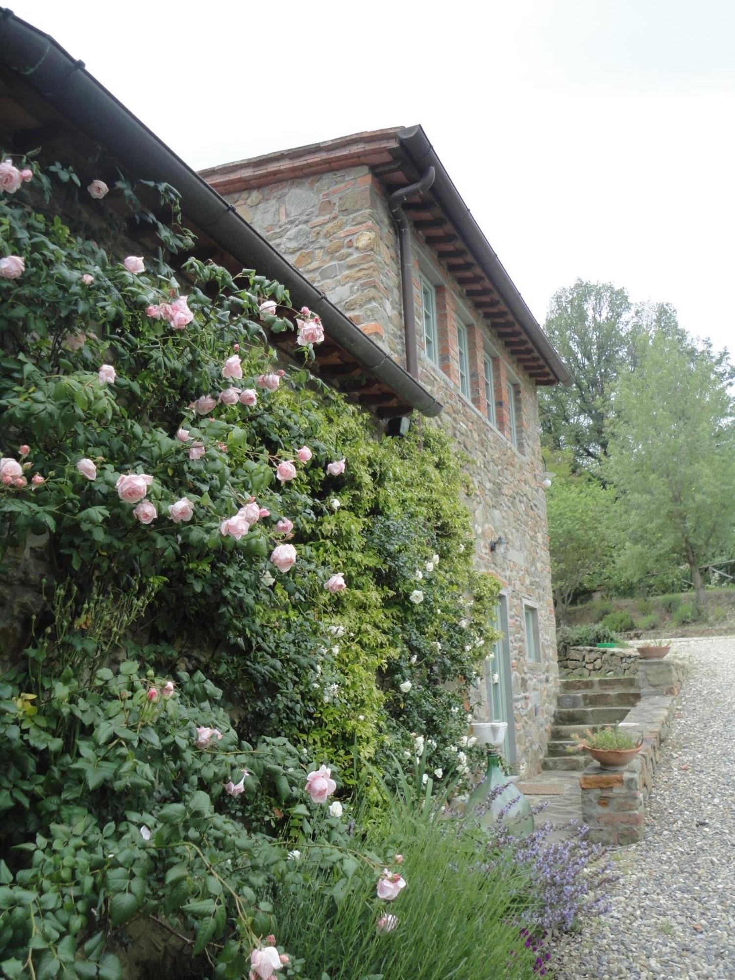 Villa Il Capriolo San Cerbone Exterior foto